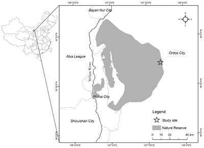 Variation in soil bacterial community characteristics inside and outside the West Ordos National Nature Reserve, northern China